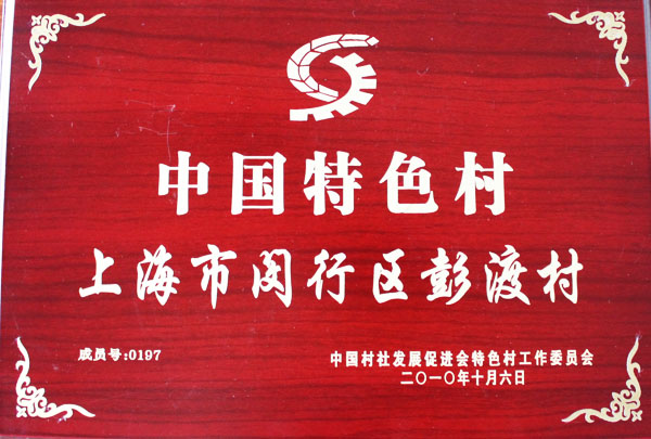 中国特色村