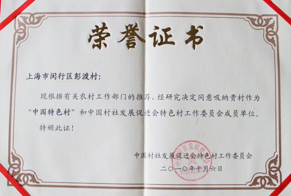 中国特色村